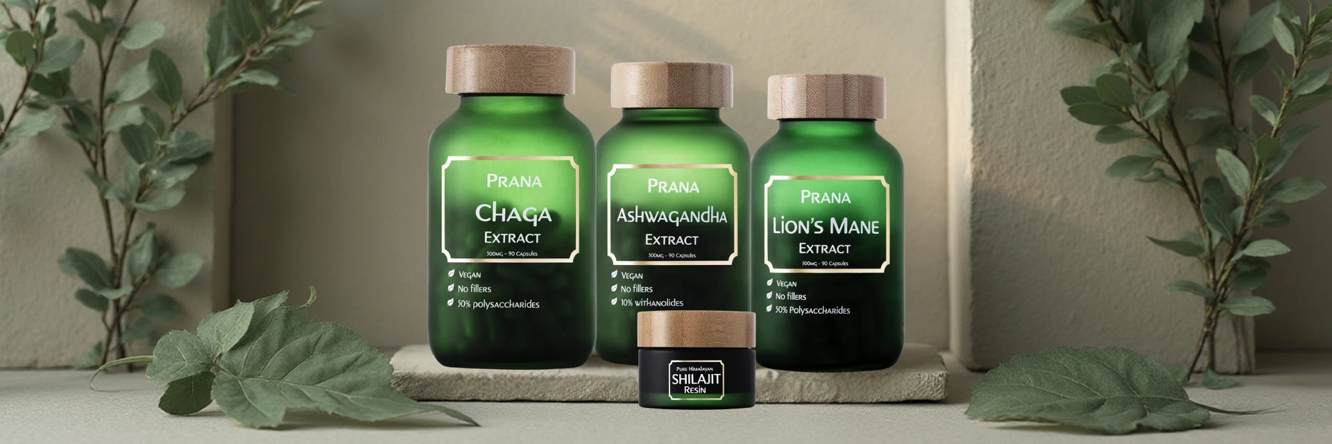 PRANA - Brand banner with Chaga