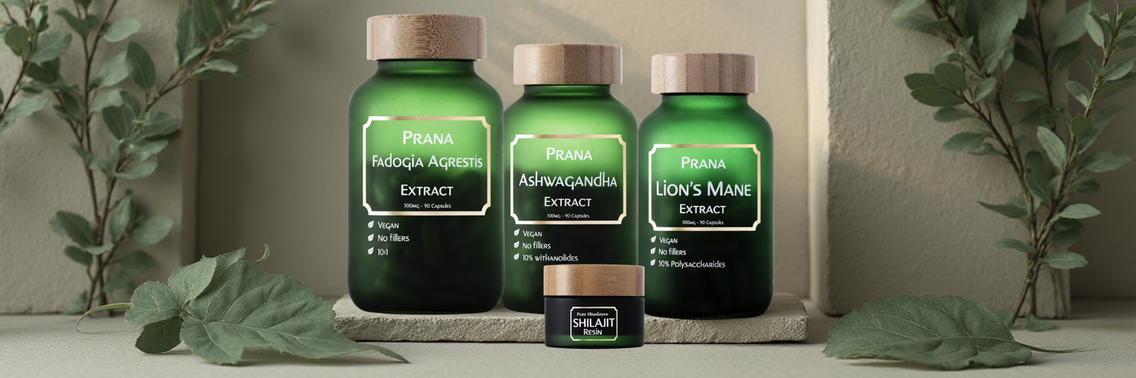 PRANA - Fadogia Agrestis - Banner