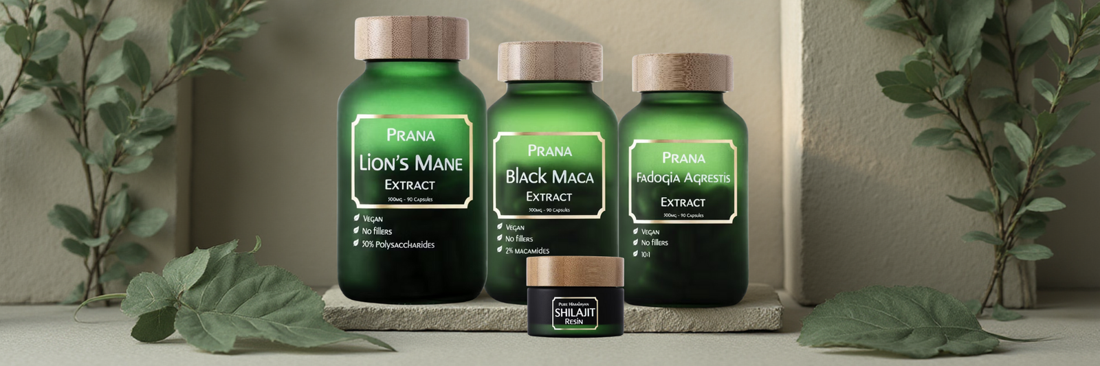 PRANA - Lion´s Mane - Banner