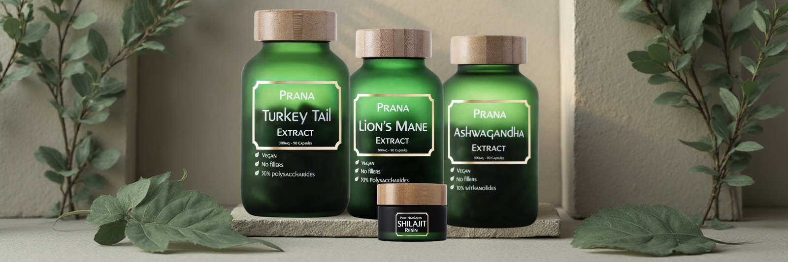 PRANA - Turkey Tail - Banner