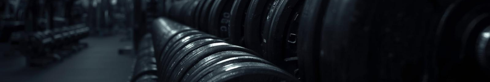 Proteinpulver banner