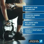 Acetyl L-Carnitine Powder I 150g - Bilde 4