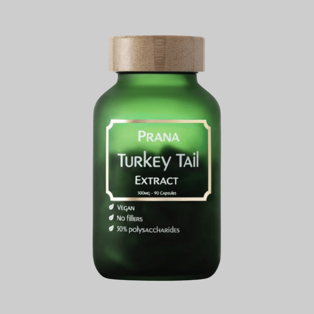 Prana I Turkey Tail Extract I 500mg – 90 Capsules Prana I Turkey Tail Extract I 500mg - 90 Capsules - Bilde 1