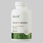 Lion's Mane I 60 Capsules