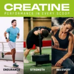 Creapure® Creatine Monohydrate I 250g - Bilde 3